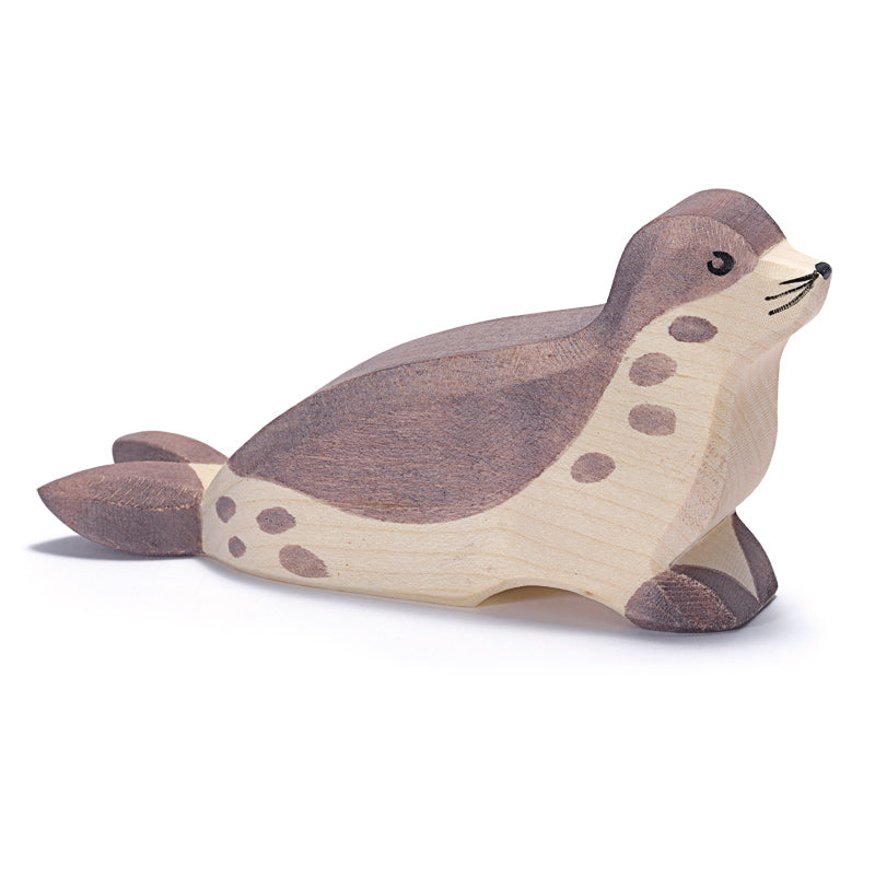 Ostheimer sea lion (Head low)