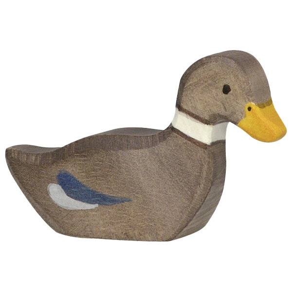Holtziger Duck Swimming