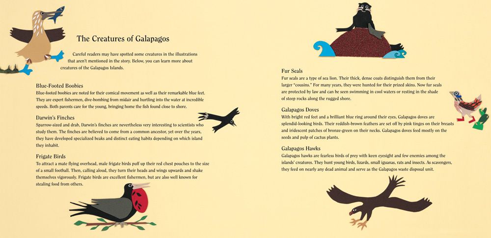 We’re Sailing To Galapagos: A Week In The Pacific