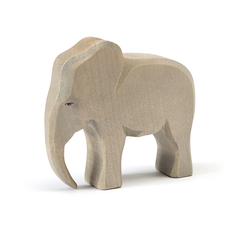 Ostheimer Male elephant (Trunk down)