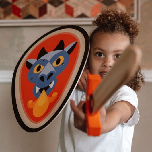 Wooden Shield with Sword Dragon