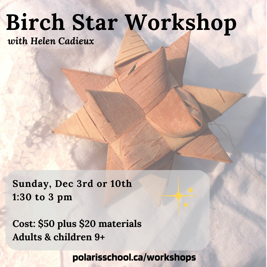 Birch Star Making Workshop - Dec 3 or 10