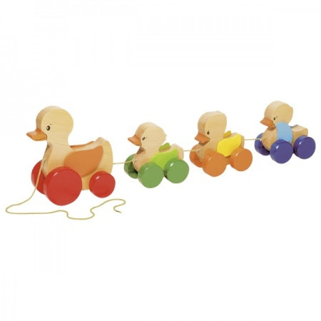 Duck Family